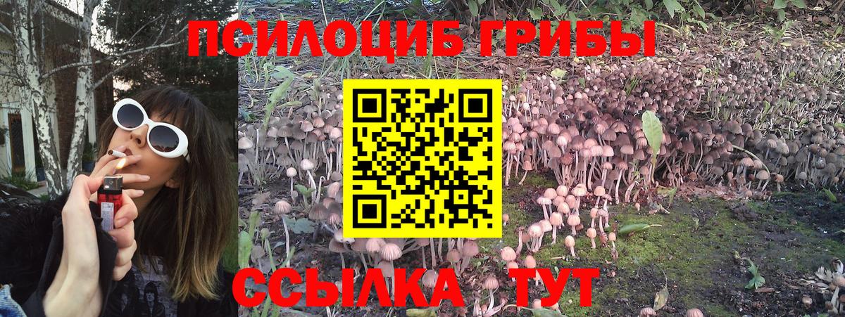 Псилоцибиновые грибы Magic Shrooms Реутов