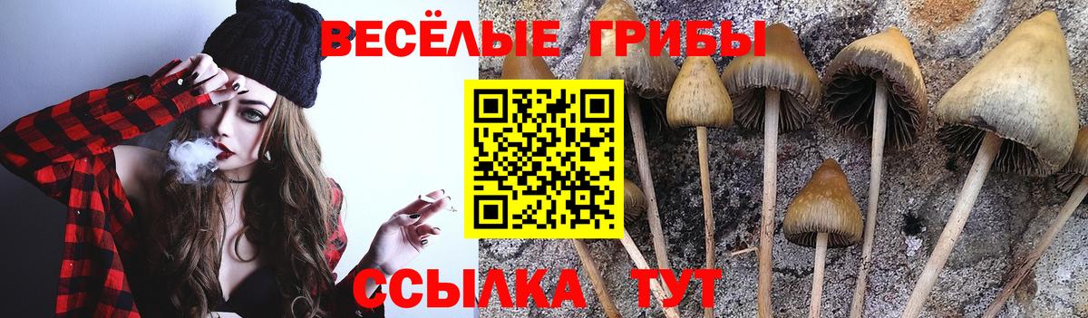 Реутов  Галлюциногенные грибы Magic Shrooms  Вход с VPN  Псилоцибиновые грибы GOLDEN TEACHER 
